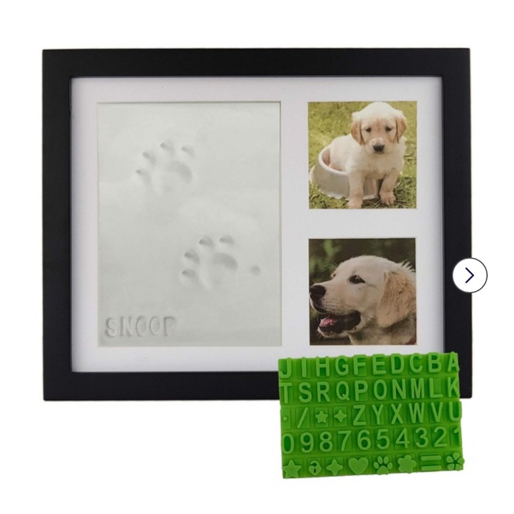 BABY MUSHROOM DIY pet keepsake & photo frame kit